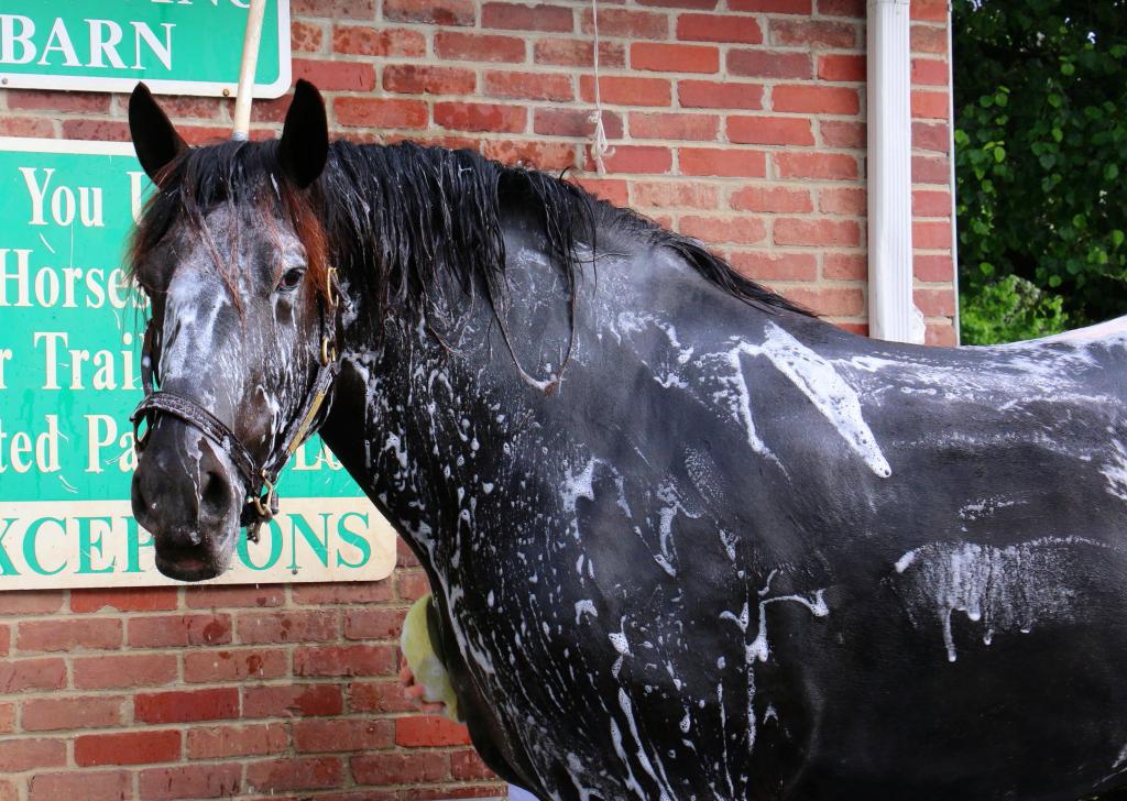 Bath time headshot. (Julie June Stewart photo)